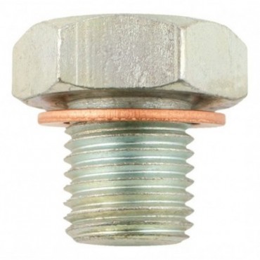 TORNILLO TAPON DE CARTER...
